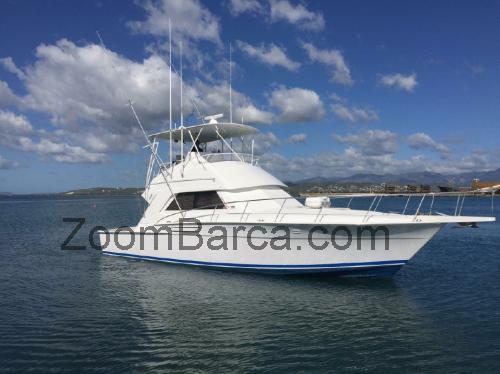 Bertram 43 Convertible recensioni e scheda tecnica